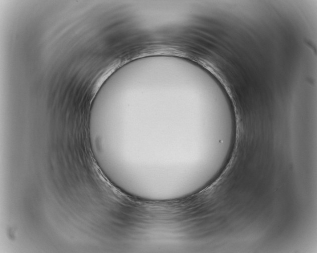 X0000101421481200807071019