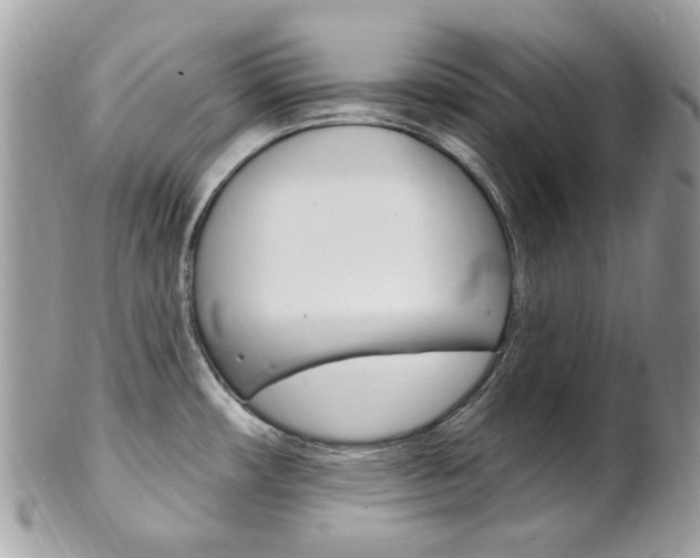 X0000101421482200807071019