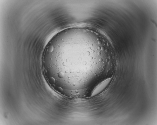 X0000101421483200807071019