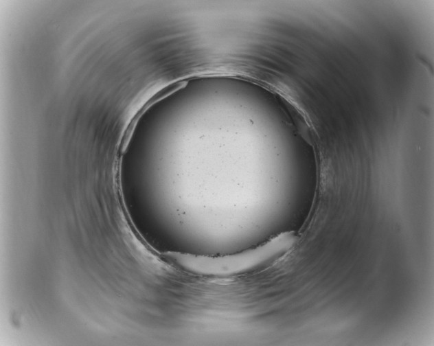 X0000101421484200807071019