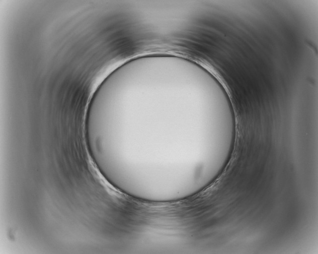 X0000101421485200807071019