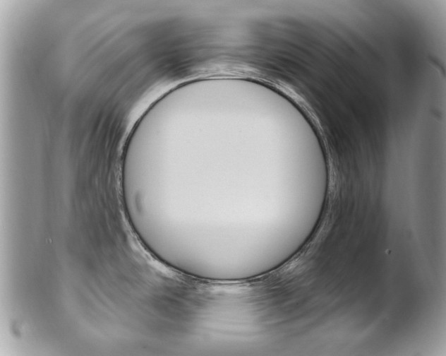 X0000101421486200807071019