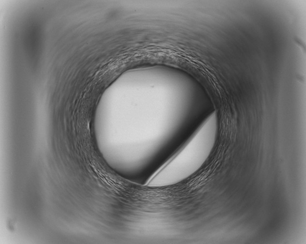 X0000101421489200807071018
