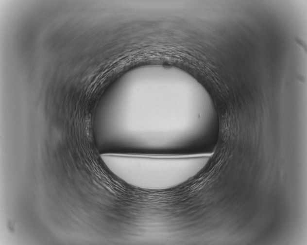 X0000101421490200807071018