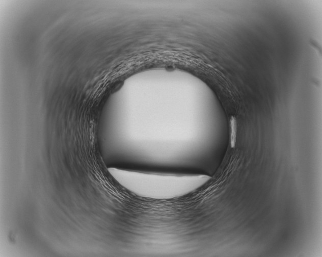 X0000101421491200807071018