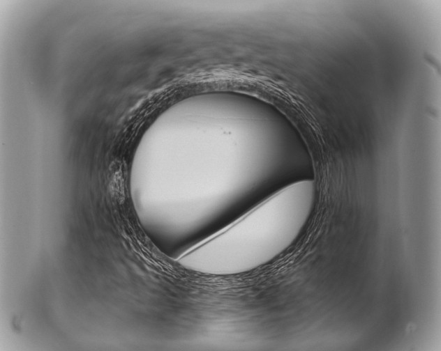 X0000101421493200807071018