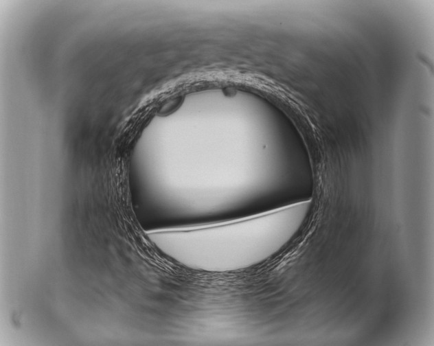X0000101421494200807071018