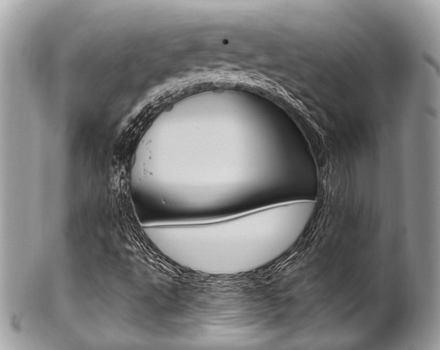 X0000101421495200807071018