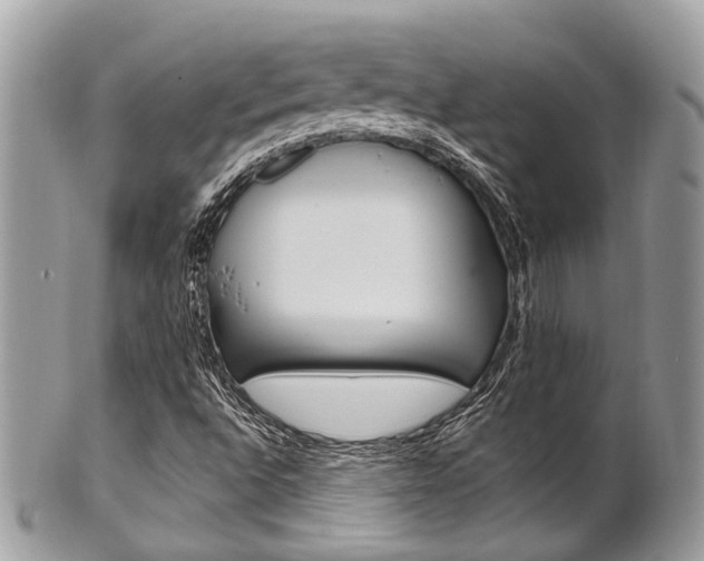 X0000101421496200807071018