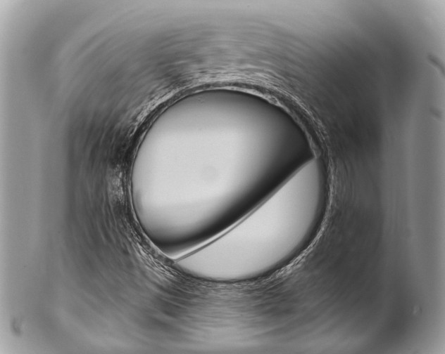 X0000101421497200807071018