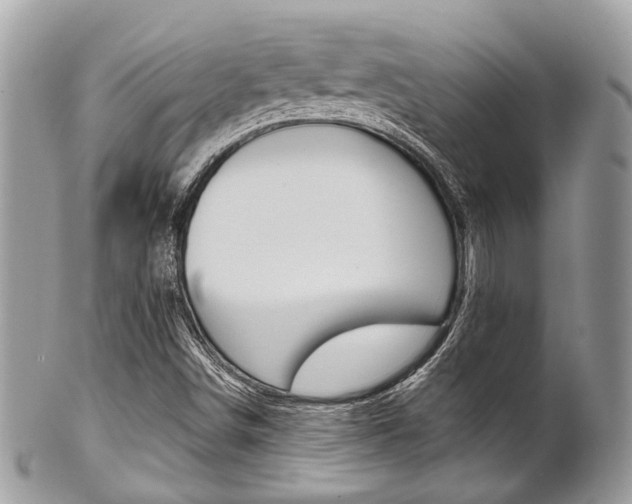 X0000101421498200807071018