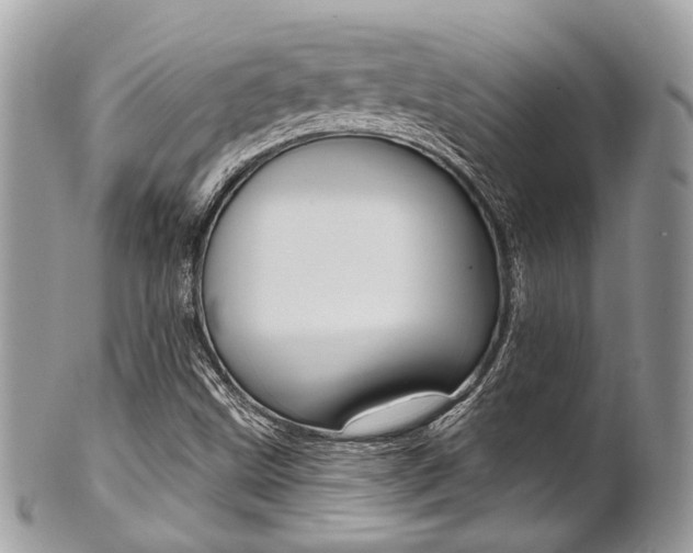 X0000101421499200807071018