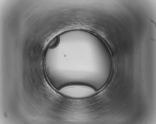 X0000101421500200807071018