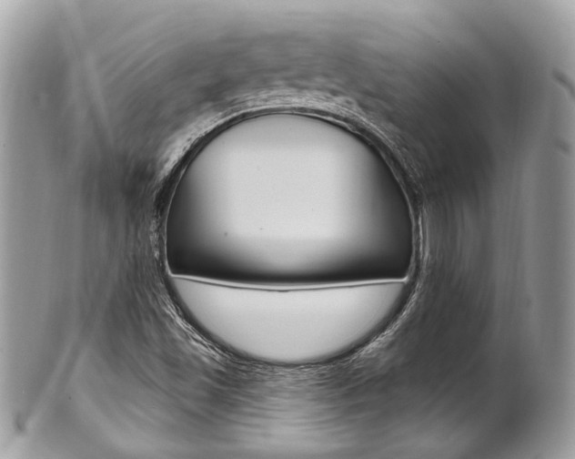 X0000101421501200807071018