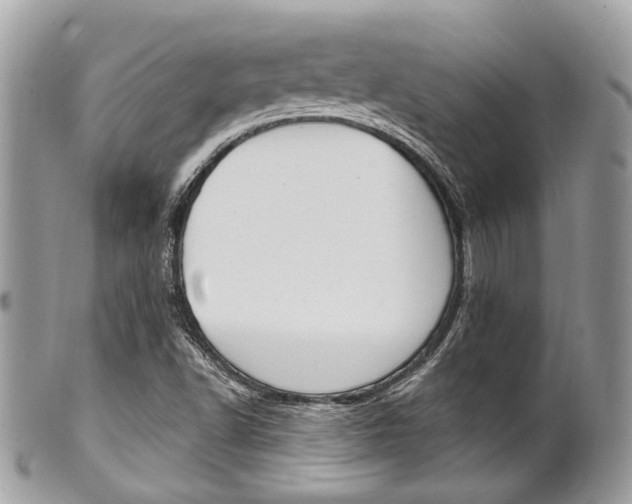 X0000101421502200807071018