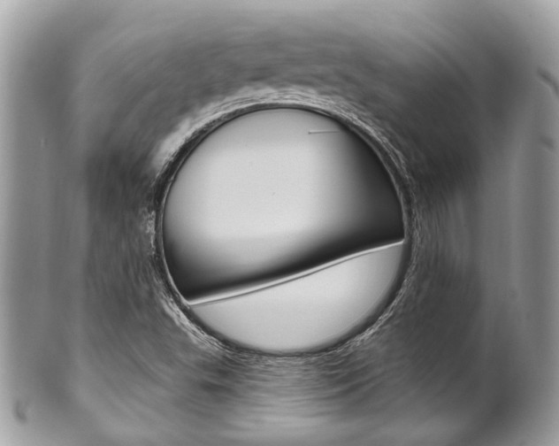 X0000101421503200807071018