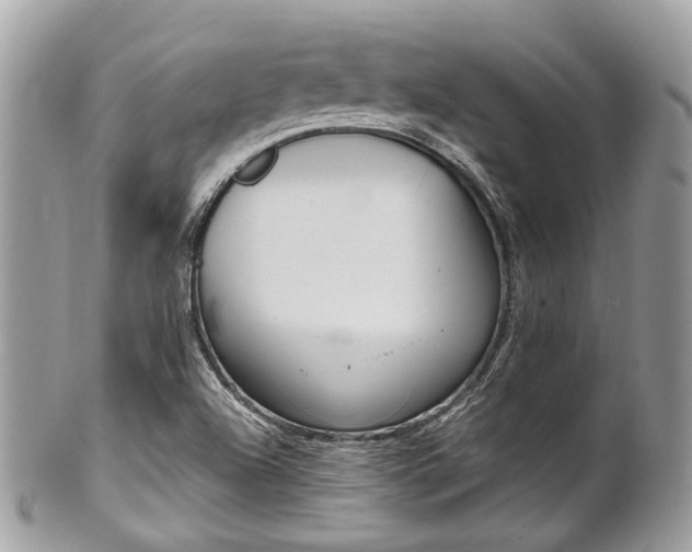 X0000101421504200807071018
