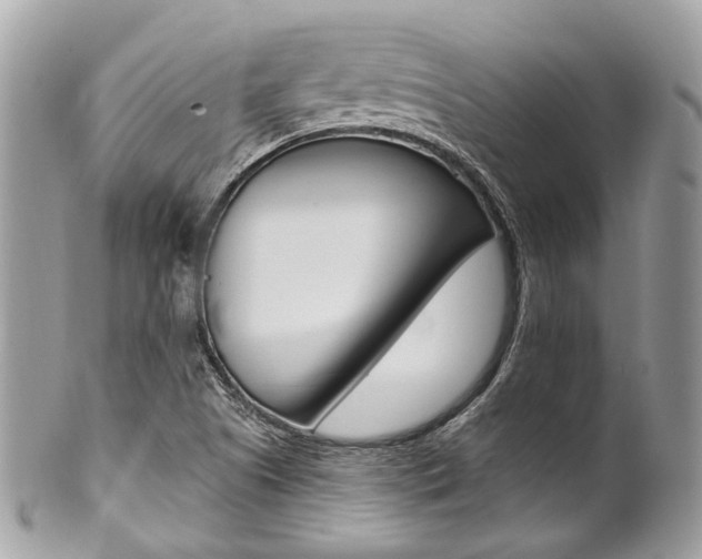 X0000101421505200807071018