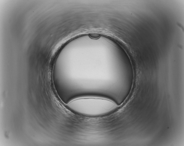 X0000101421506200807071018