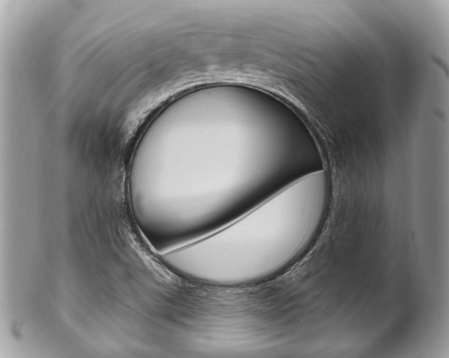 X0000101421507200807071018