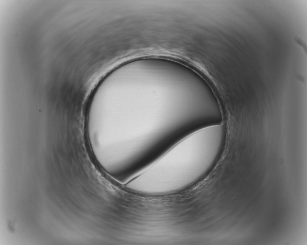 X0000101421508200807071018