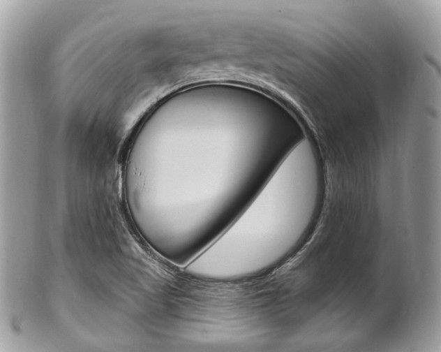 X0000101421509200807071018