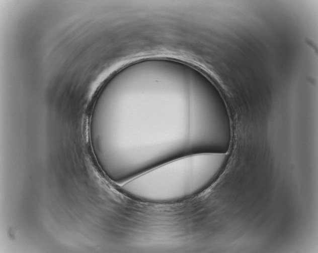 X0000101421510200807071018
