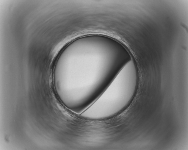 X0000101421511200807071018