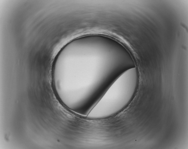 X0000101421512200807071018