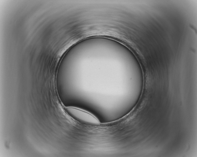 X0000101421513200807071018