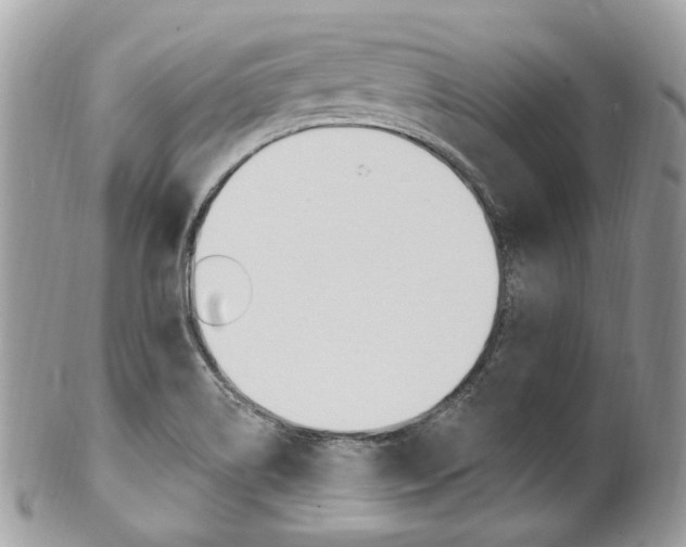 X0000101421514200807071018