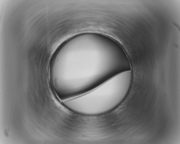 X0000101421515200807071018