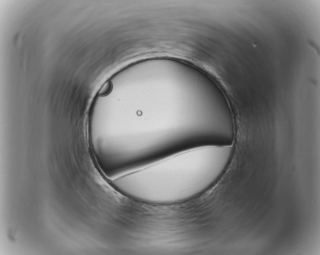 X0000101421516200807071018