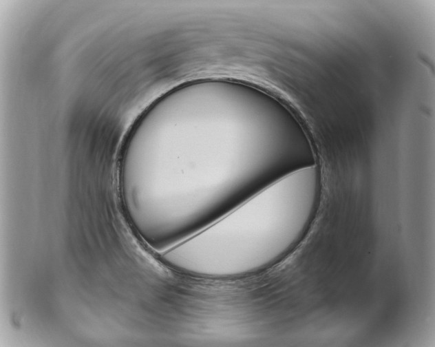 X0000101421517200807071018