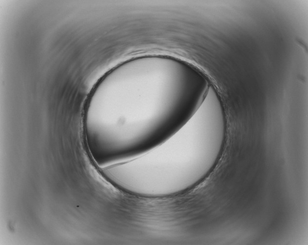 X0000101421518200807071018