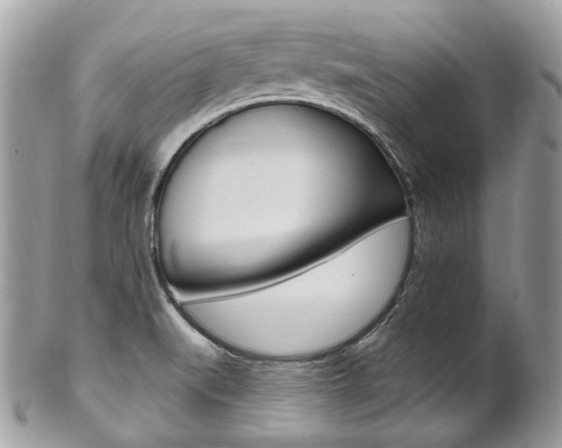 X0000101421519200807071018