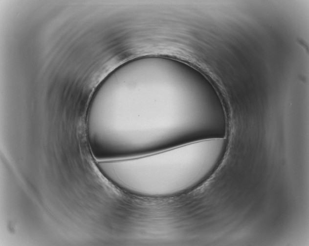 X0000101421521200807071018