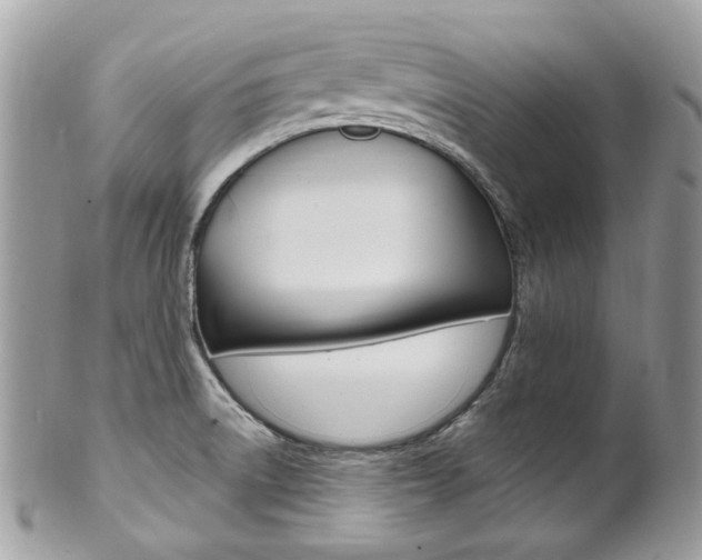 X0000101421522200807071018