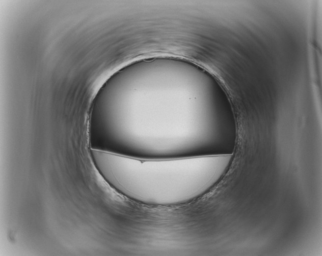 X0000101421524200807071018