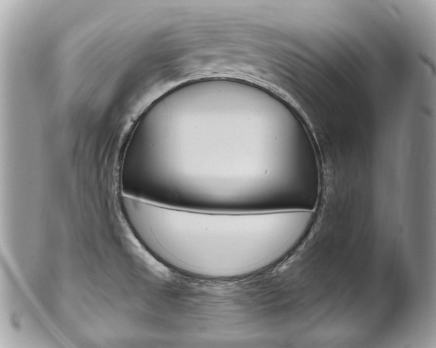 X0000101421525200807071018