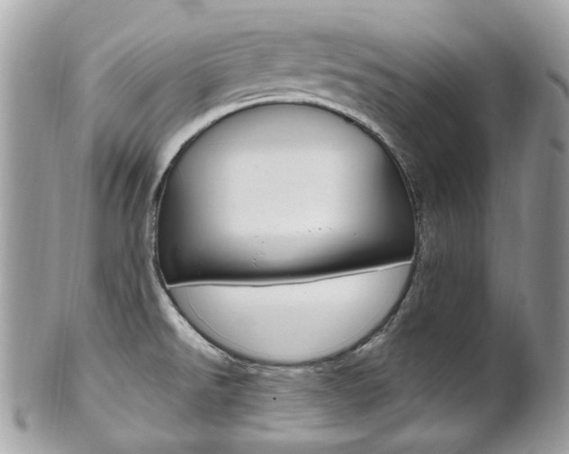 X0000101421526200807071018