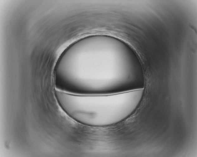 X0000101421527200807071018