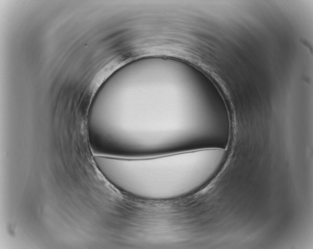 X0000101421529200807071018