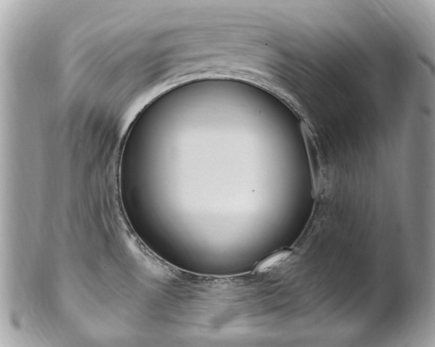 X0000101421530200807071018