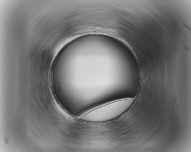 X0000101421531200807071018