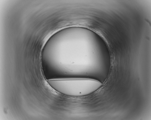 X0000101421532200807071018