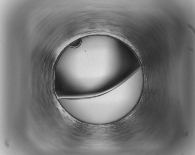 X0000101421534200807071018