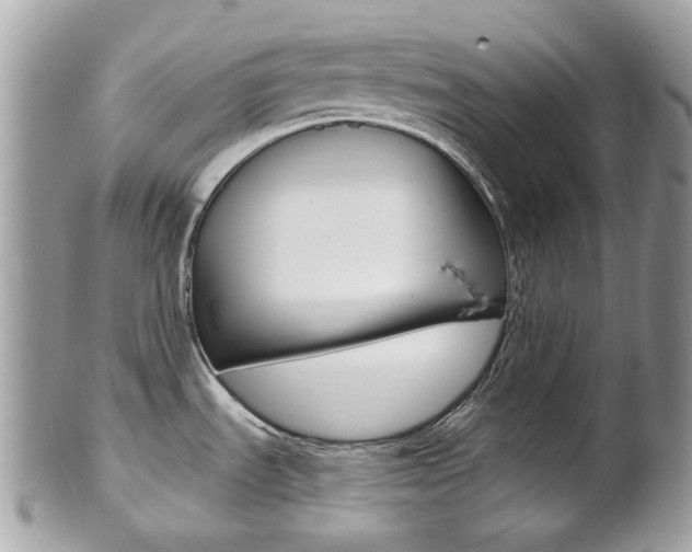 X0000101421535200807071018