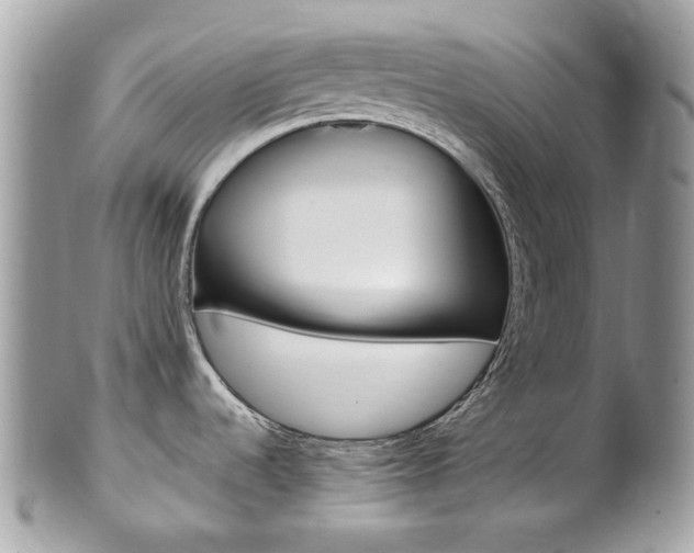 X0000101421536200807071018