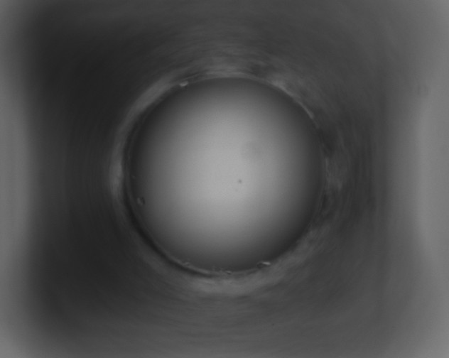 X0000101420005200807071326